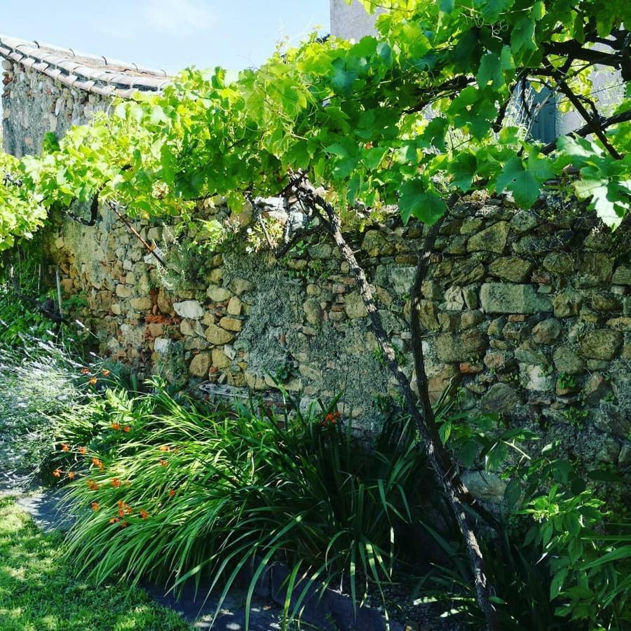 Gite Maison De L'Abbe Sorèze Exteriér fotografie